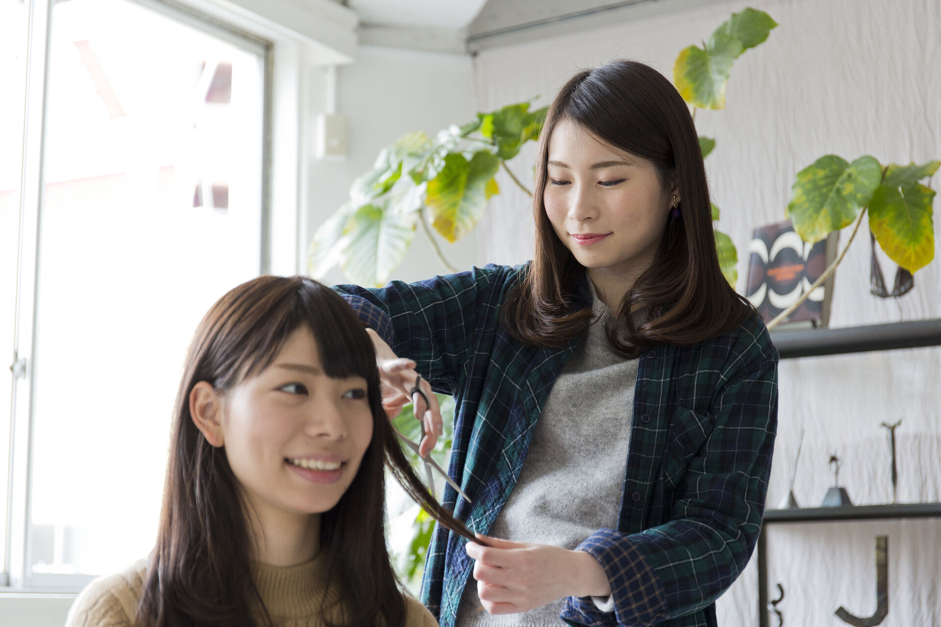 AdobeStock_141309941
